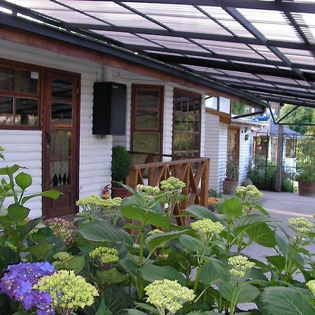 Complejo Cabanas Petalos Villarrica Exterior photo