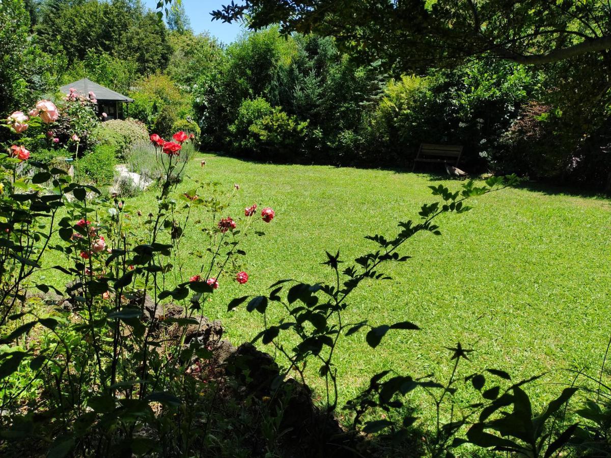 Complejo Cabanas Petalos Villarrica Exterior photo