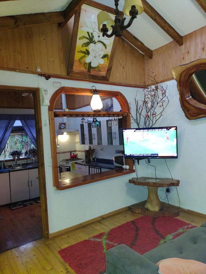 Complejo Cabanas Petalos Villarrica Exterior photo