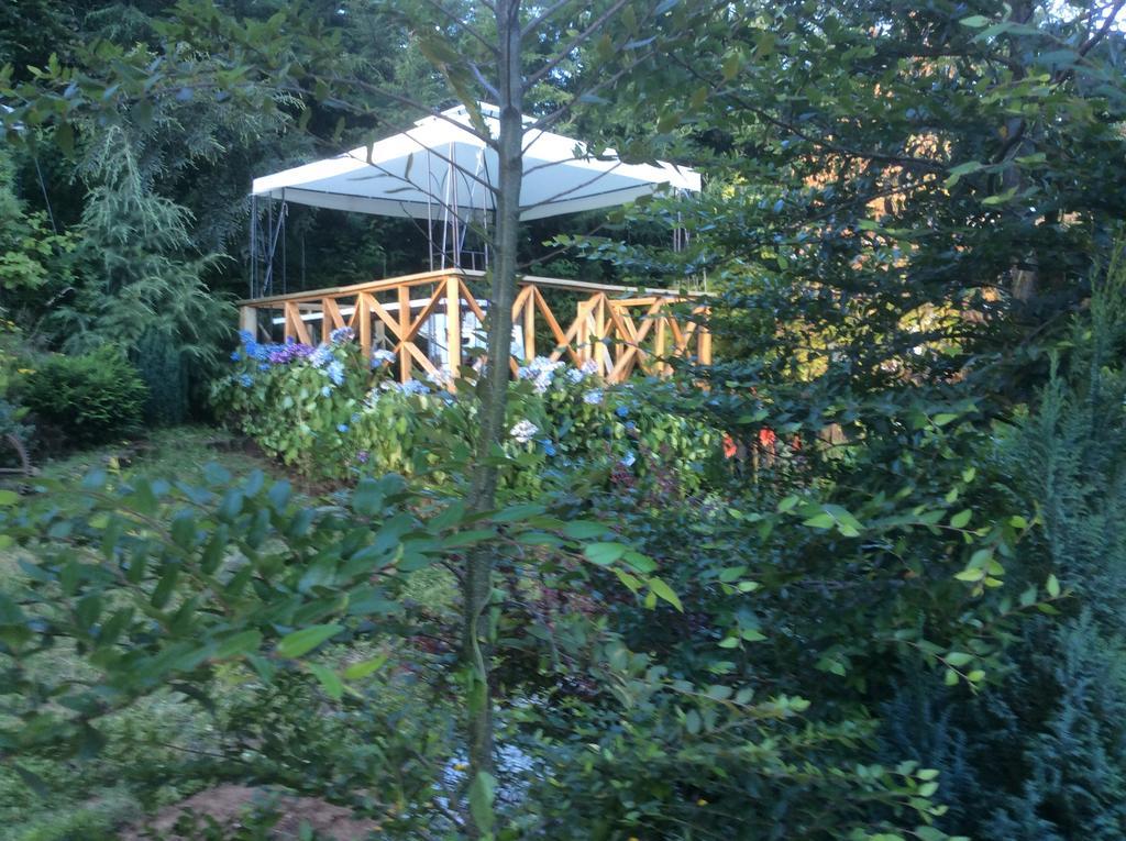 Complejo Cabanas Petalos Villarrica Exterior photo