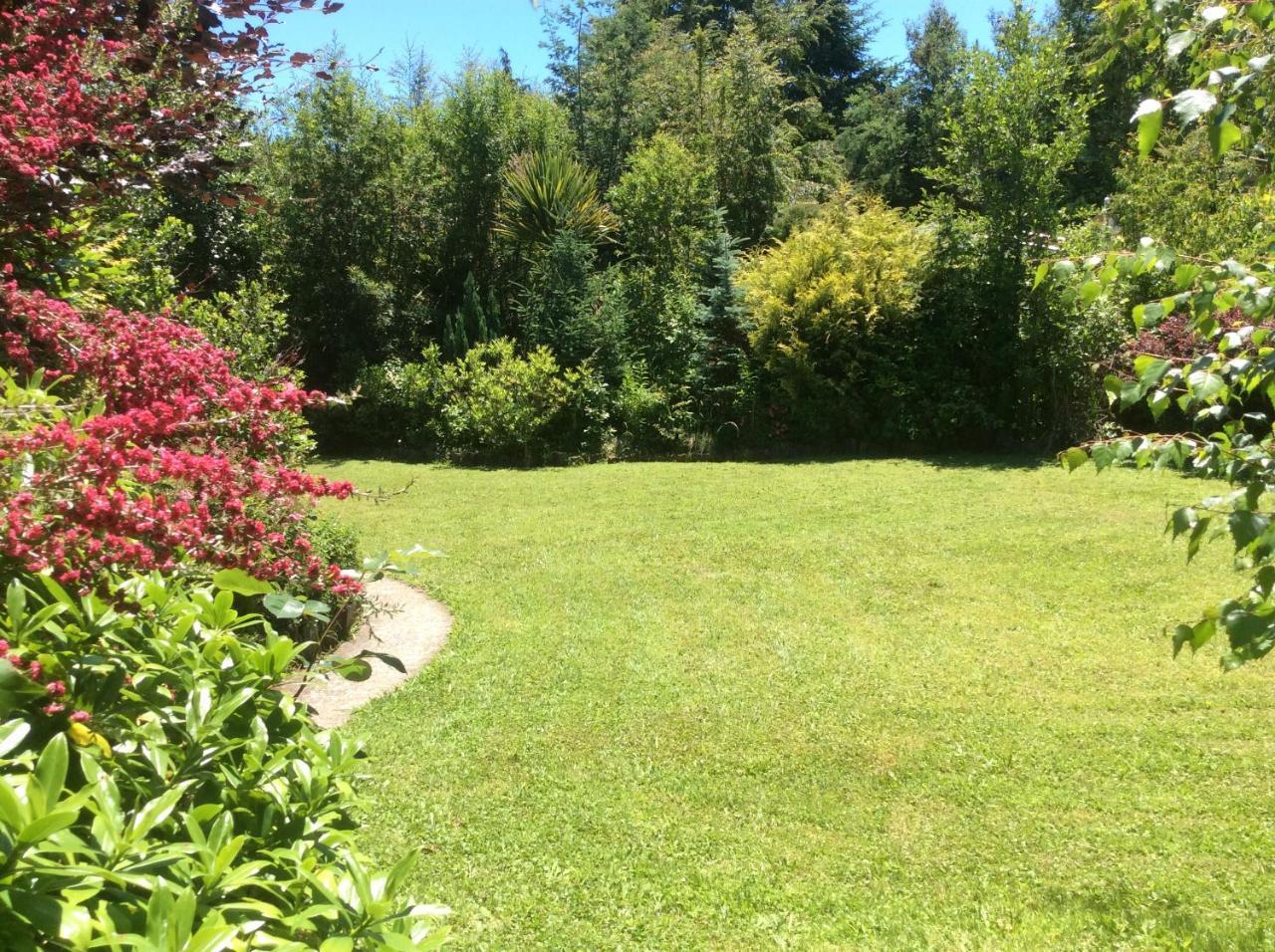 Complejo Cabanas Petalos Villarrica Exterior photo