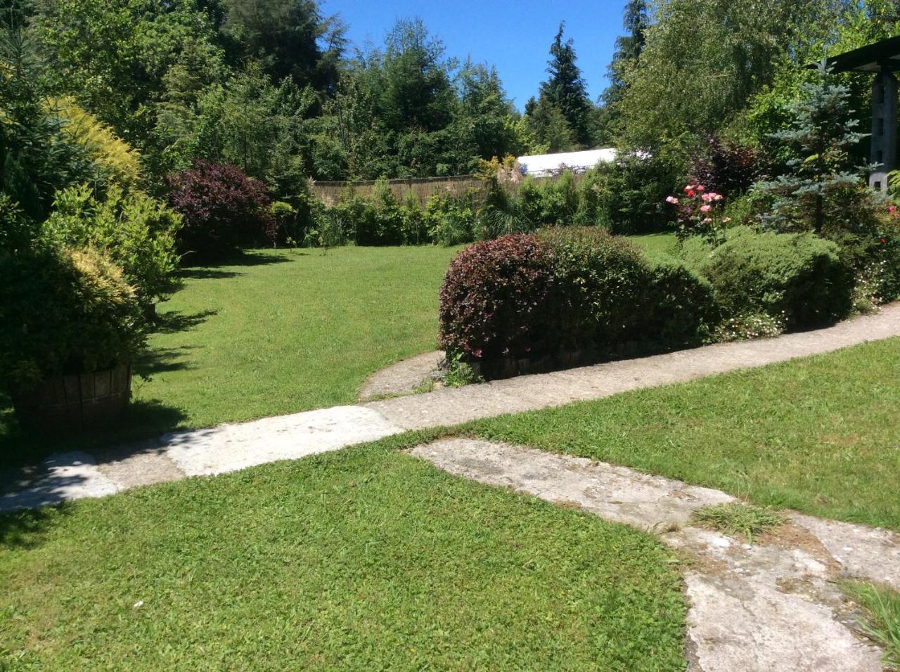 Complejo Cabanas Petalos Villarrica Exterior photo